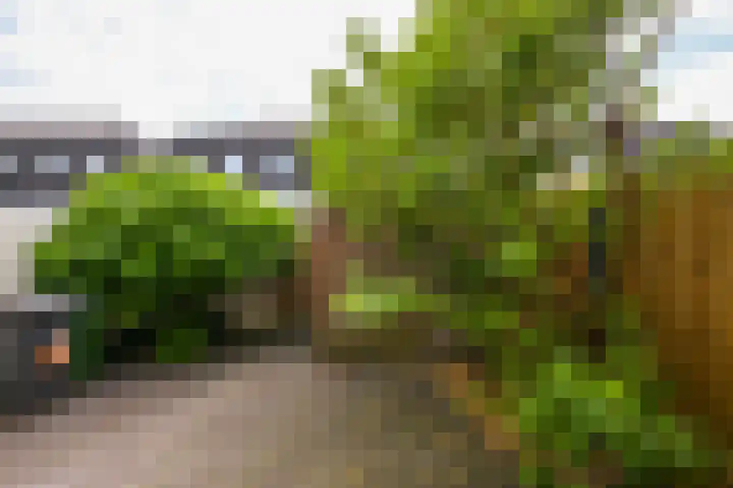 Warmoesstraat 33 Wormerveer thumbnail 11