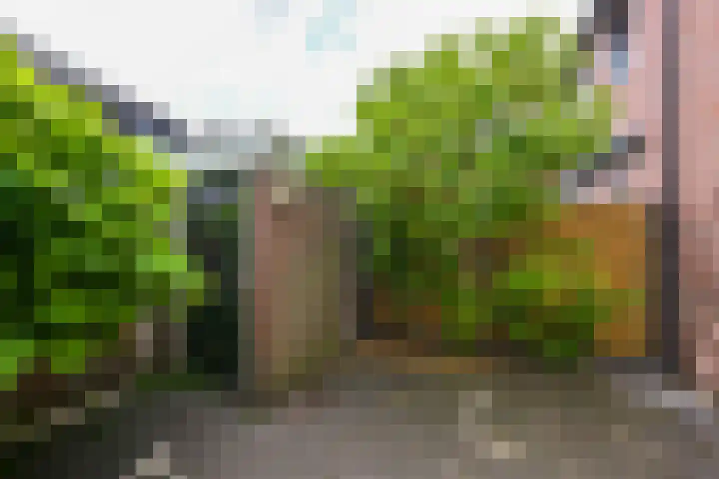 Warmoesstraat 33 Wormerveer thumbnail 12