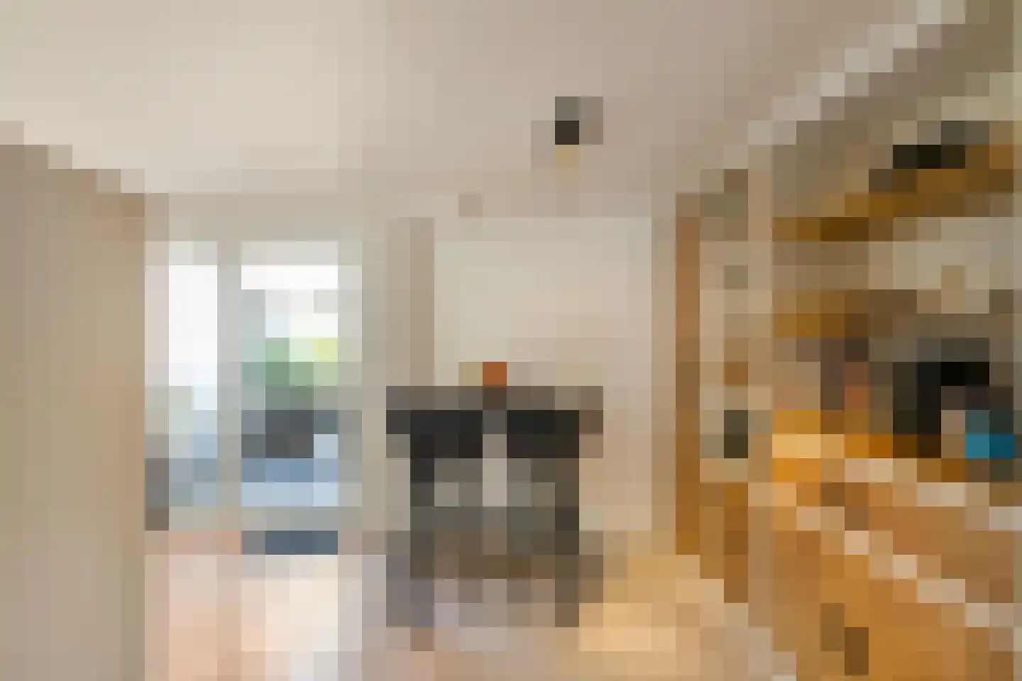 Warmoesstraat 36 Groningen thumbnail 11