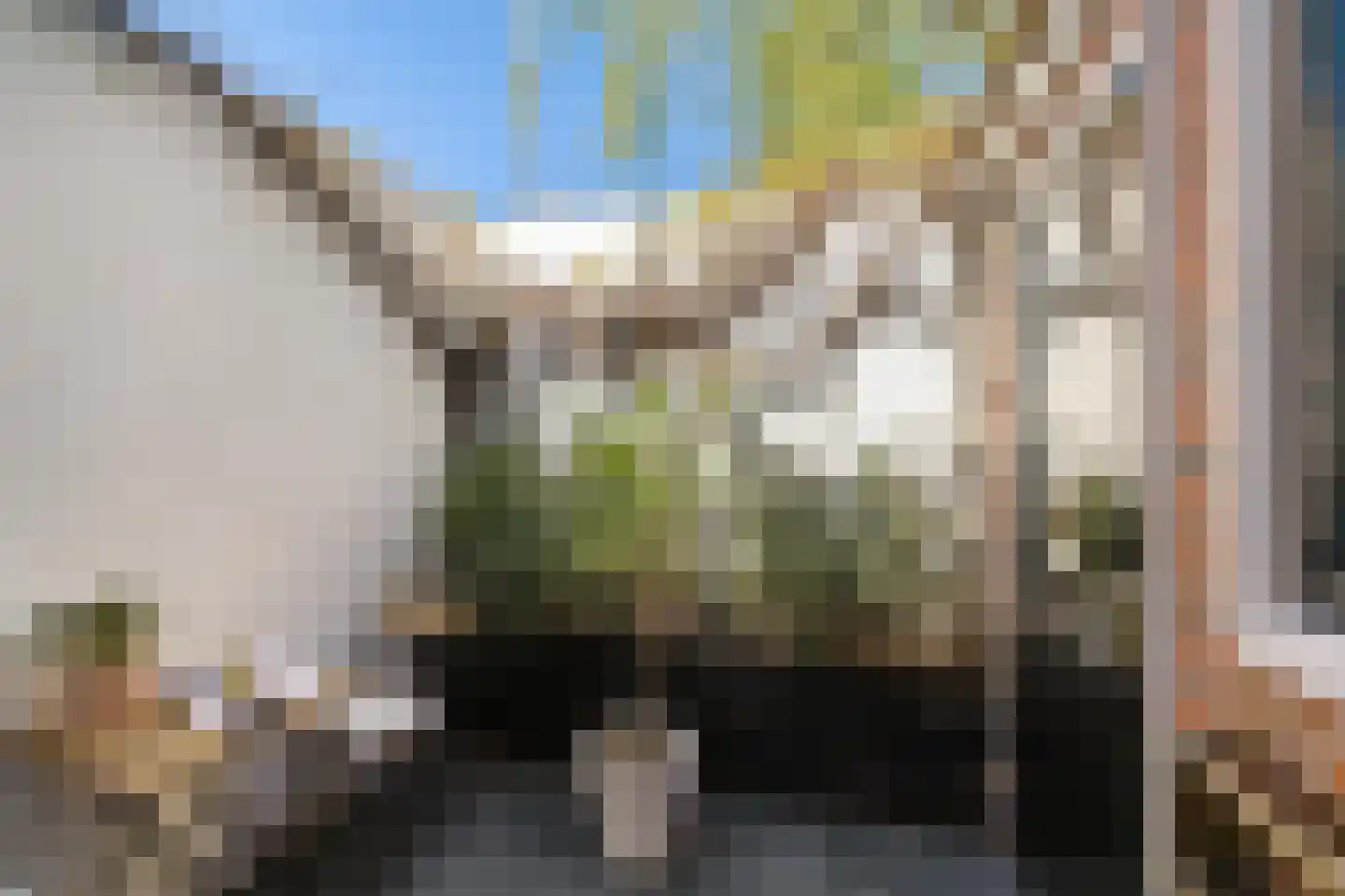 Warmoesstraat 36 Groningen thumbnail 16