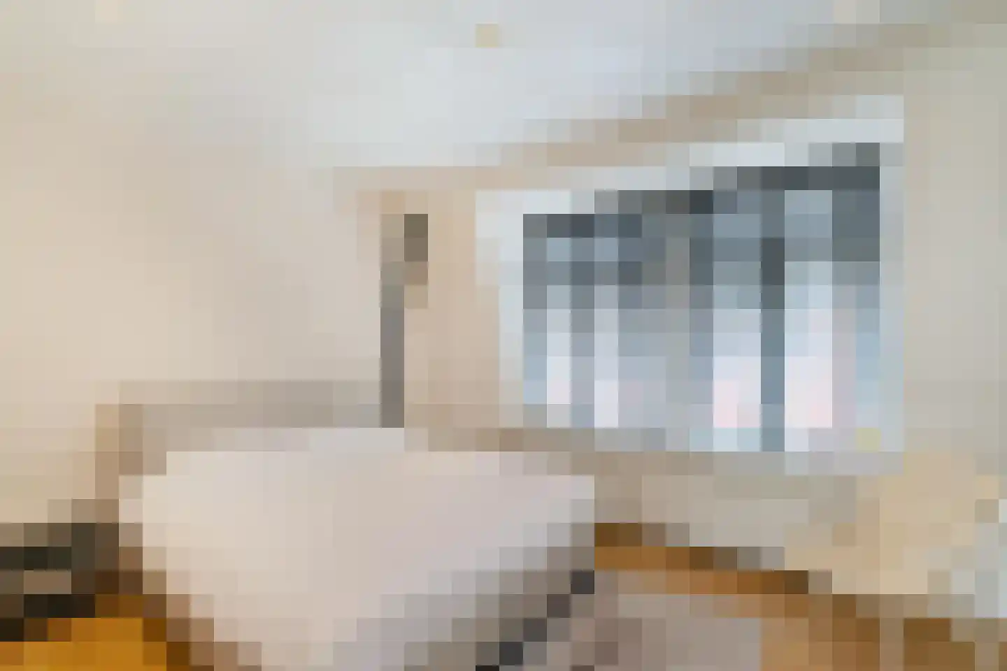 Warmoesstraat 36 Groningen thumbnail 26