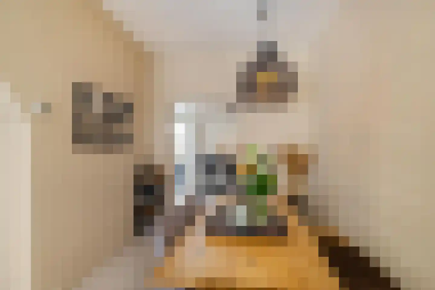 Warmoesstraat 36 Groningen thumbnail 9