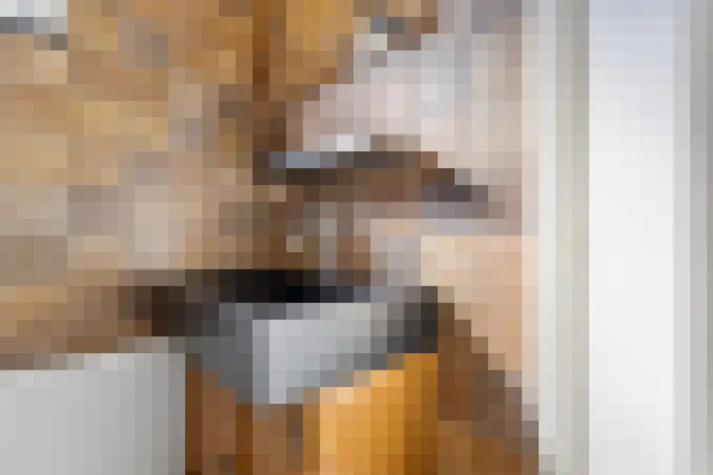 Warmoesstraat 36 Oosterhout thumbnail 26