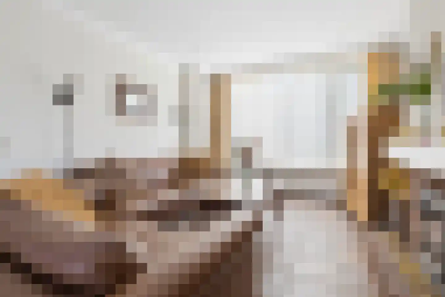 Warmoesstraat 36 Oosterhout thumbnail 8