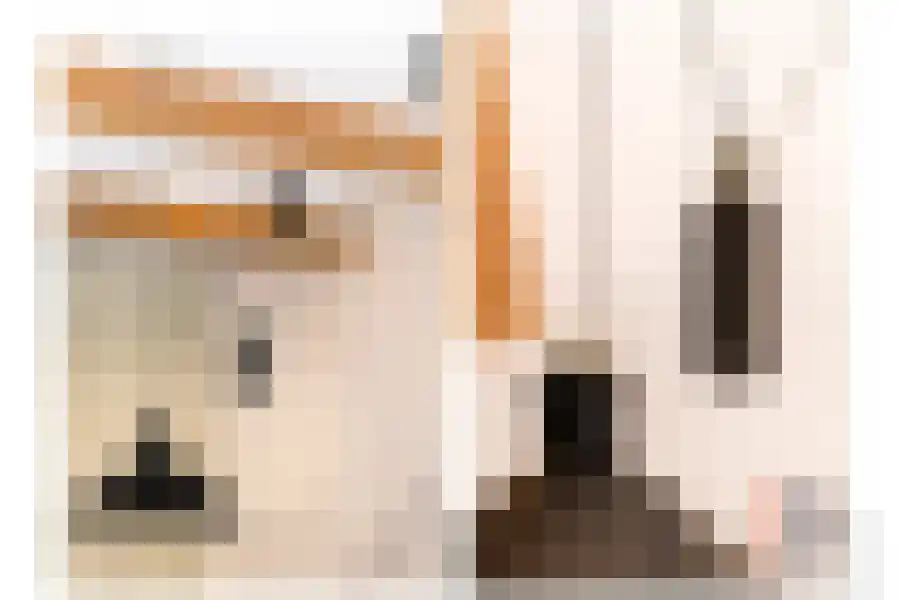 Warmoesstraat 44 Amsterdam thumbnail 6