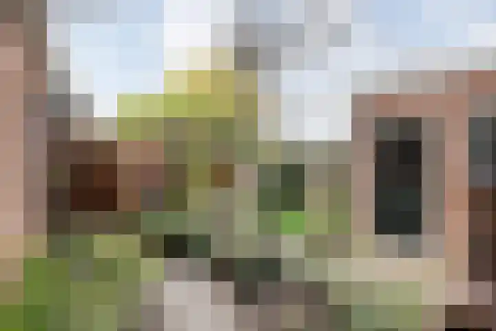 Warmoesstraat 55 Zwolle thumbnail 33
