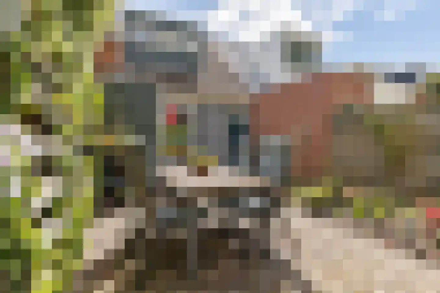 Warmoesstraat 58 Groningen thumbnail 14