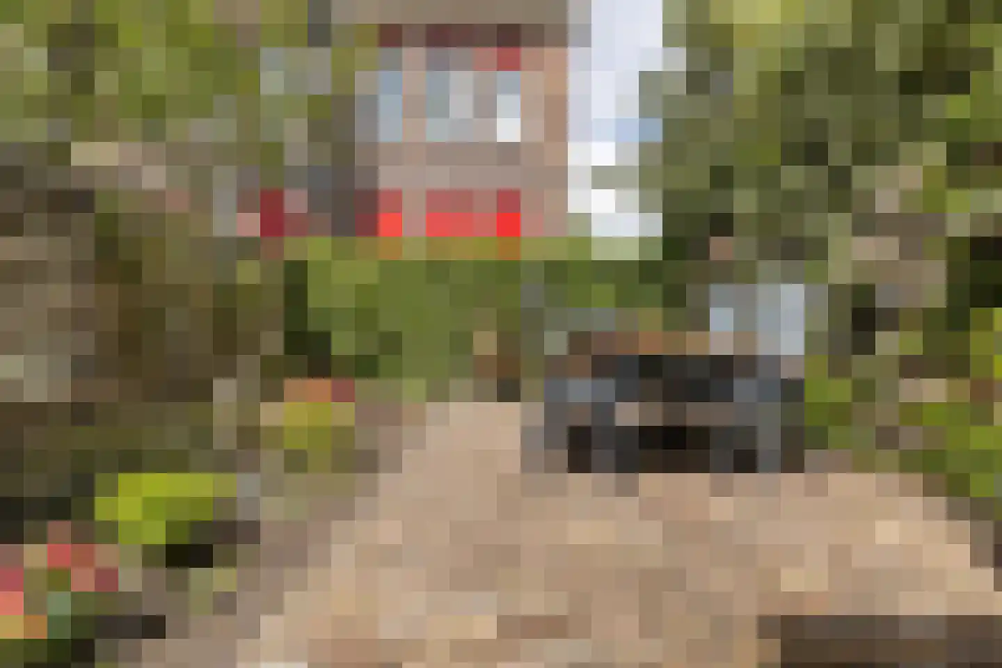 Warmoesstraat 58 Groningen thumbnail 19