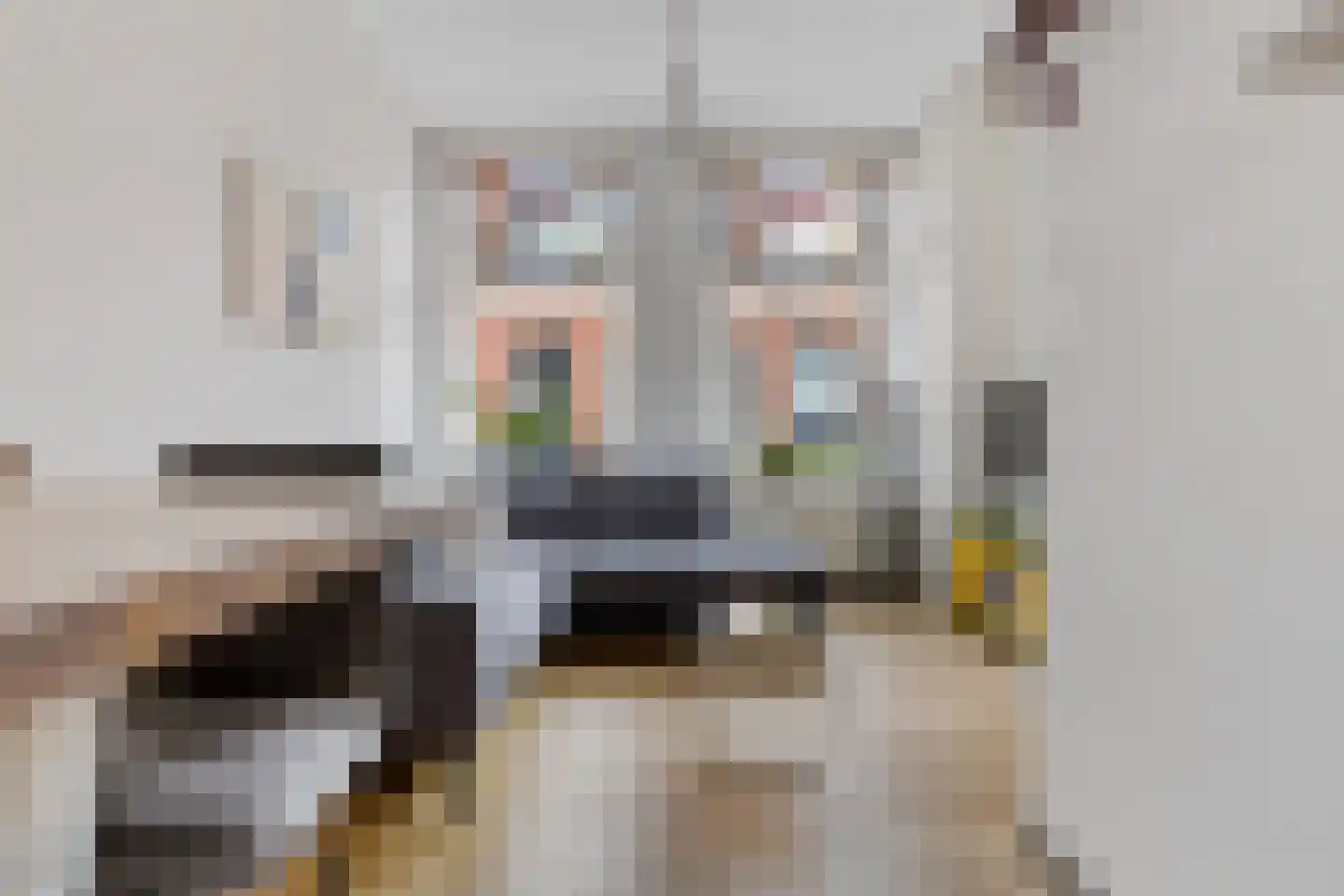 Warmoesstraat 58 Groningen thumbnail 28