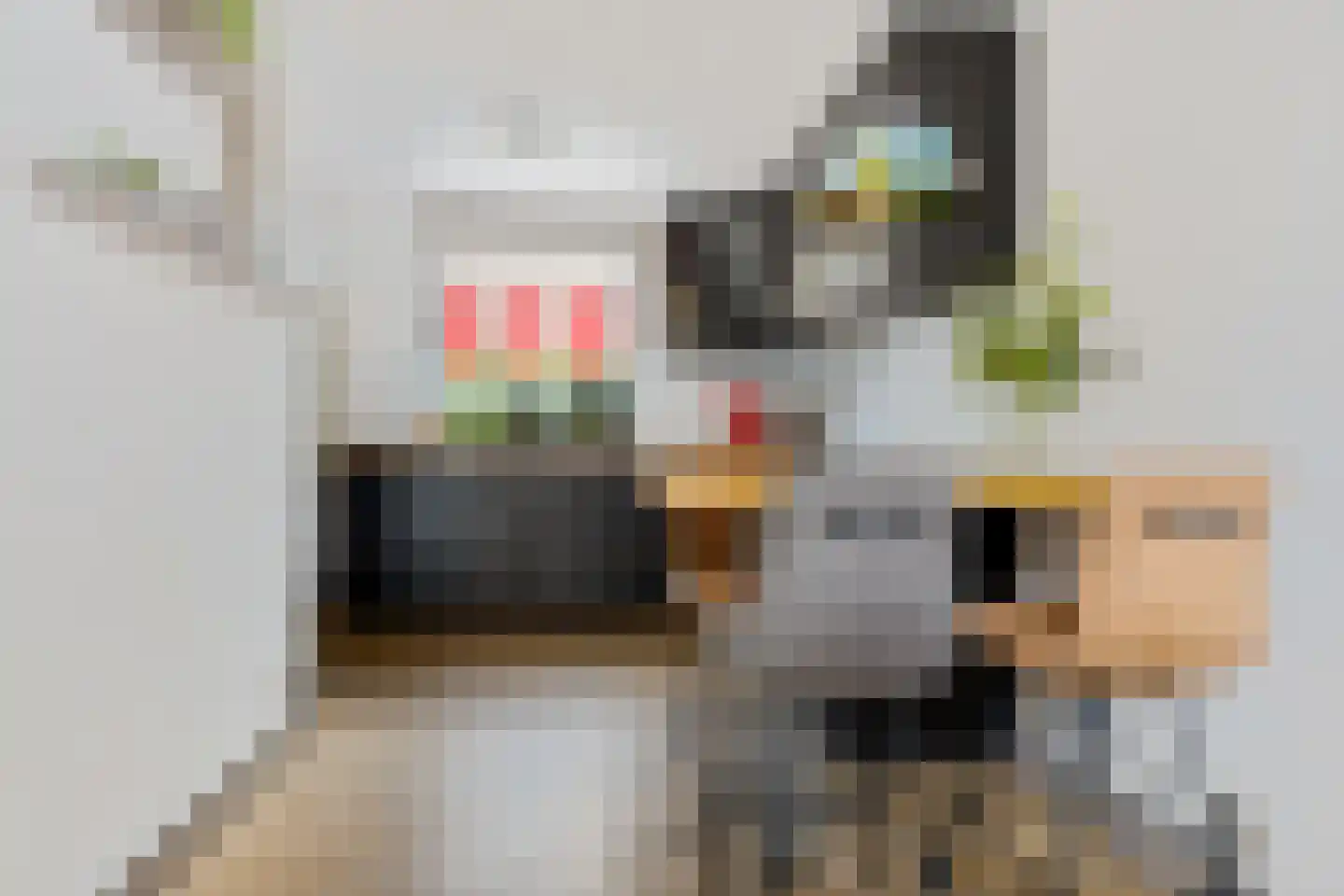 Warmoesstraat 58 Groningen thumbnail 31