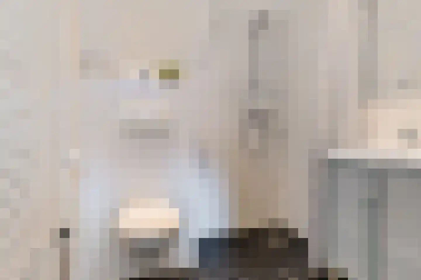 Warmoesstraat 58 Groningen thumbnail 9