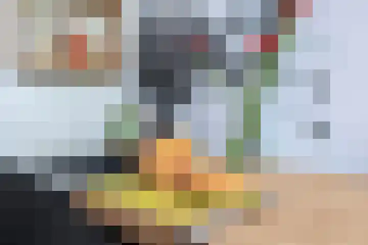 Warmoesstraat 6 Groningen thumbnail 17