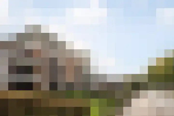Warmoesstraat 67 E St.-Annaparochie thumbnail 10