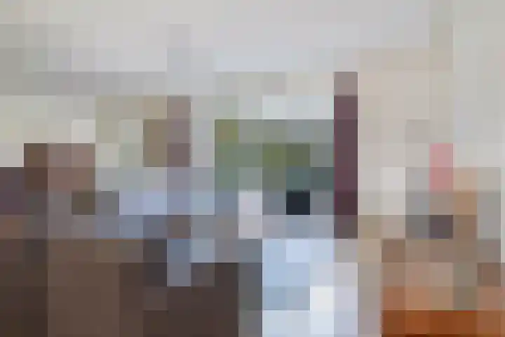 Warmoesstraat 67 E St.-Annaparochie thumbnail 25