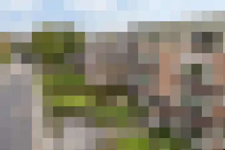 Warmoesstraat 67 E St.-Annaparochie thumbnail 4