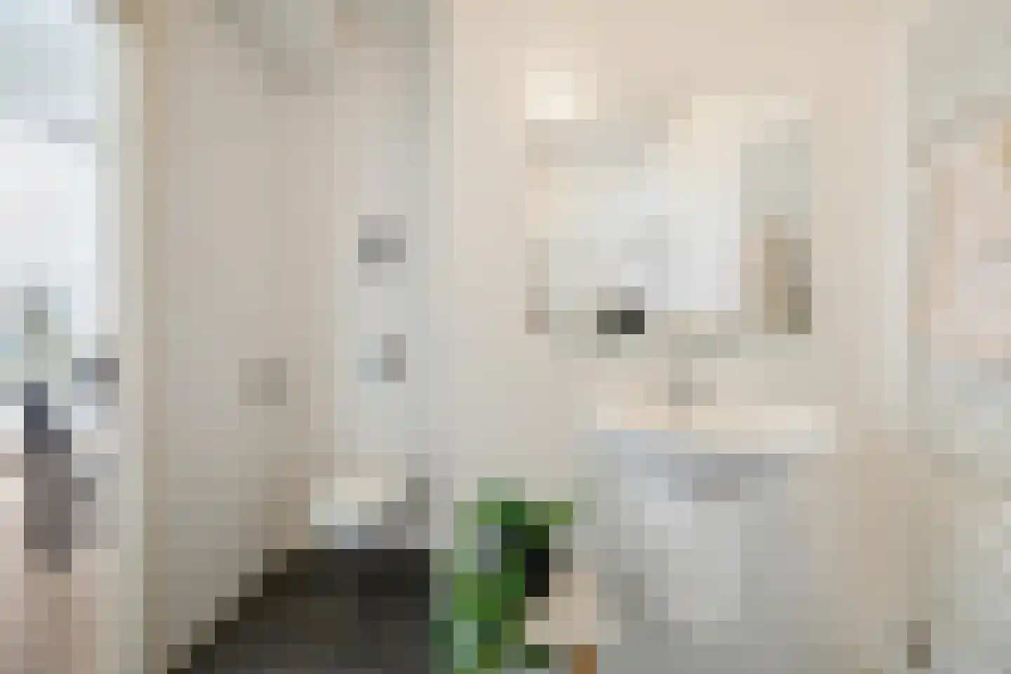 Warmoesstraat 70 Groningen thumbnail 23