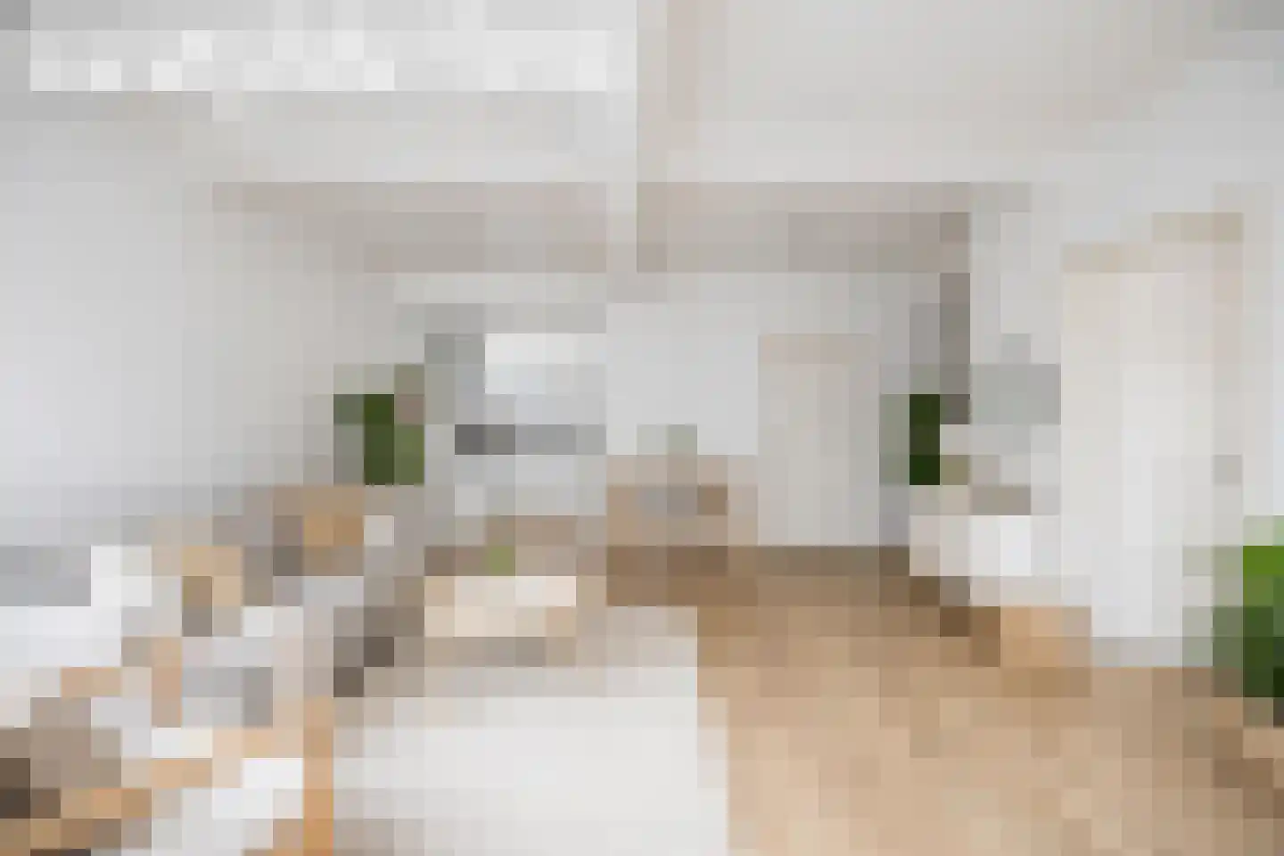 Warmoesstraat 70 Groningen thumbnail 8
