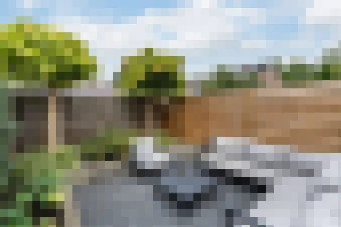 Warmoesstraat 71 Zwolle thumbnail 18