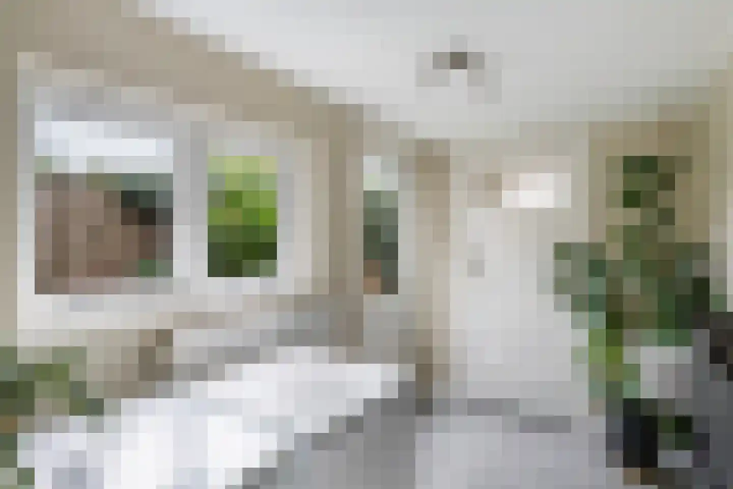 Warmoesstraat 71 Zwolle thumbnail 20