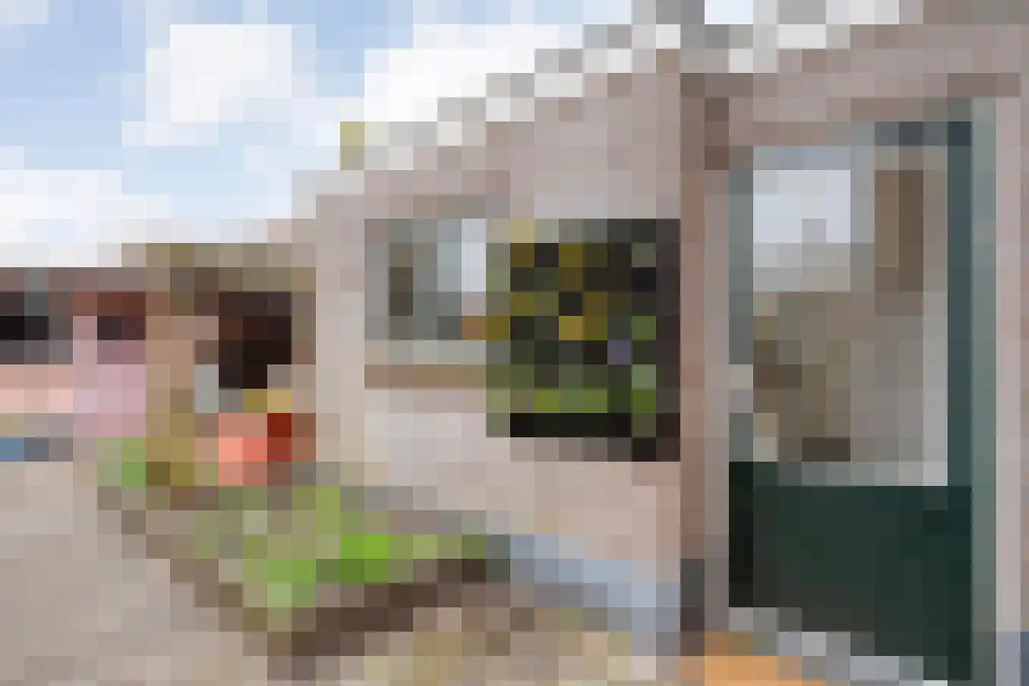 Warmoesstraat 77 Zwolle thumbnail 21