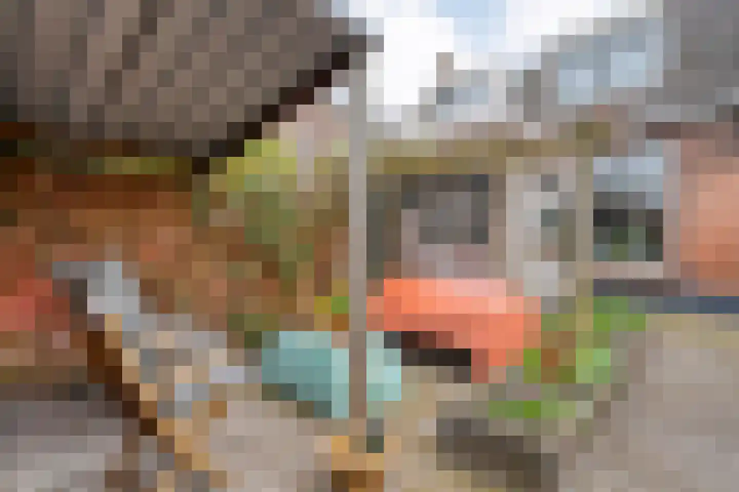 Warmoesstraat 77 Zwolle thumbnail 22