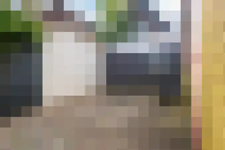 Warmoesstraat 87 Wormerveer thumbnail 19
