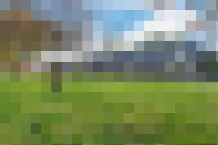 Warmoesstraat 87 Wormerveer thumbnail 25