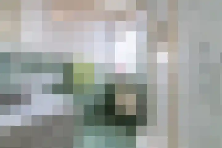 Warmoesstraat 87 Wormerveer thumbnail 4