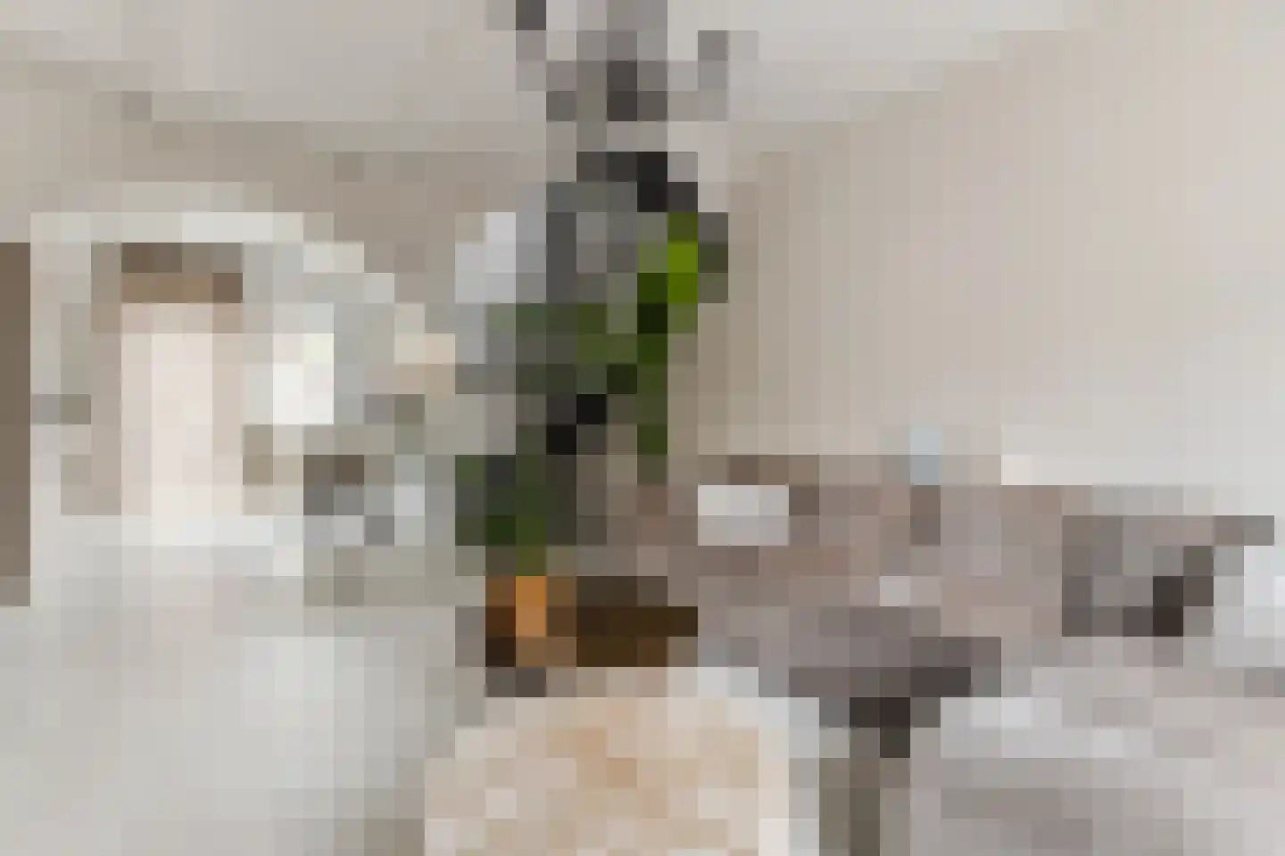 Warmoesstraat 89 Wormerveer thumbnail 5