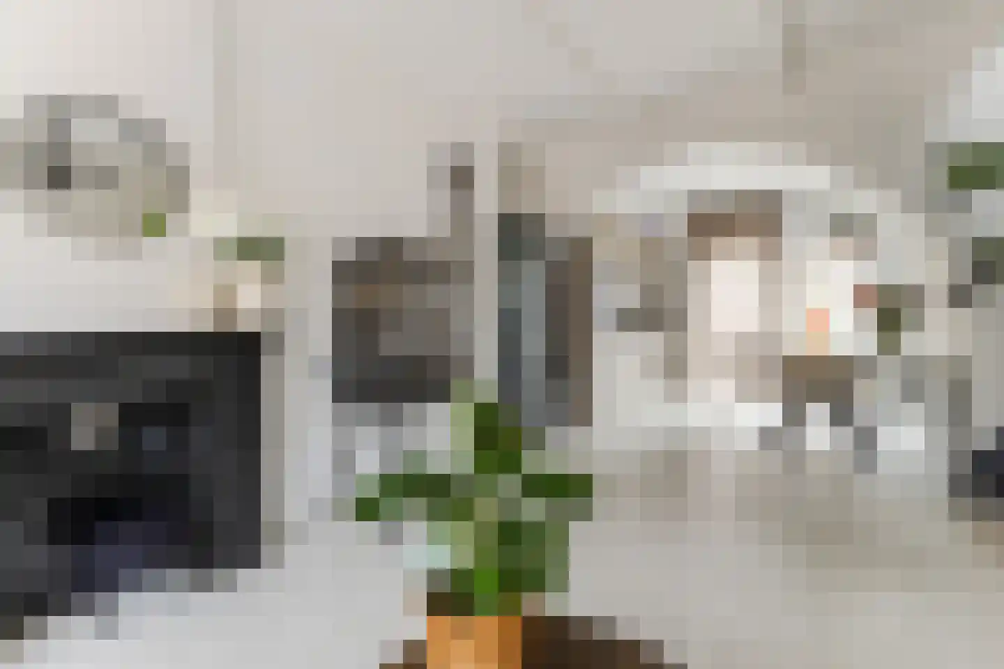 Warmoesstraat 89 Wormerveer thumbnail 6