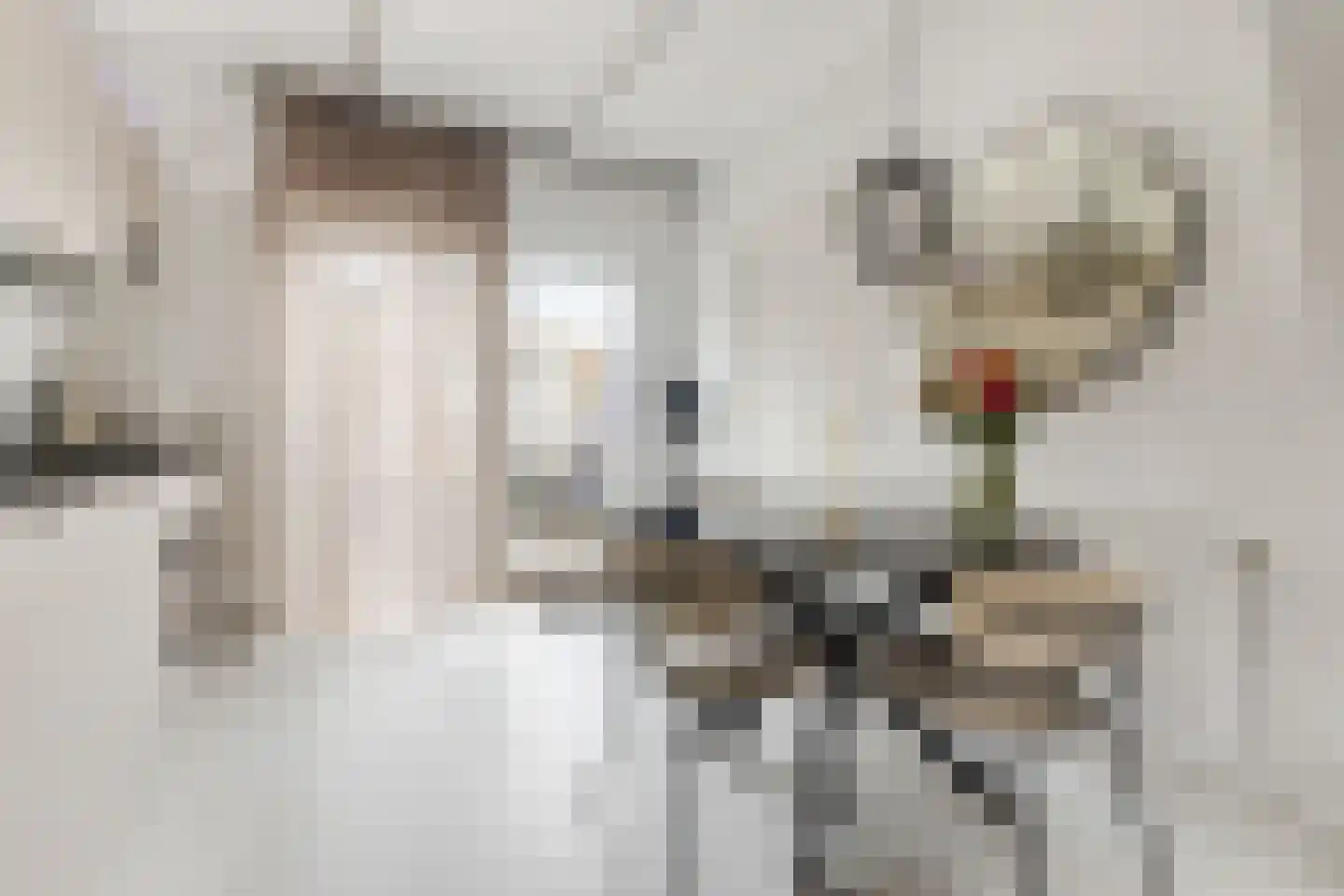 Warmoesstraat 89 Wormerveer thumbnail 7
