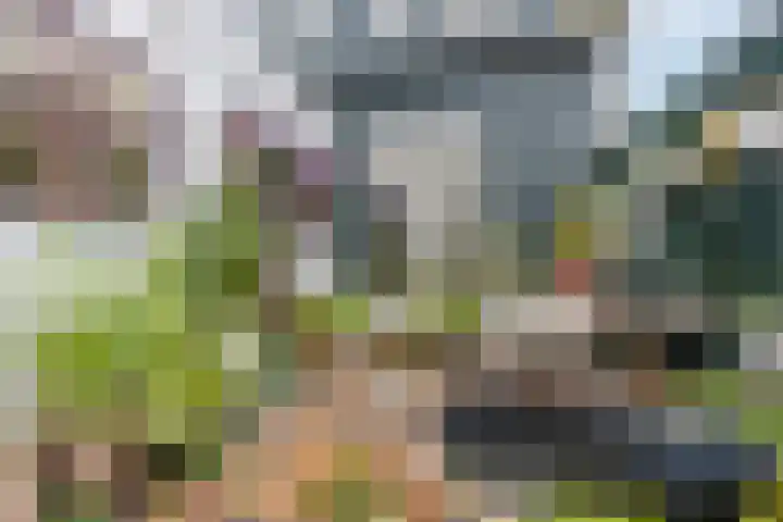 Warmoesstraat 96 Wormerveer thumbnail 31