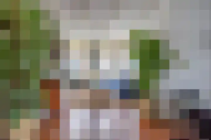Warmoesstraat 96 Wormerveer thumbnail 8