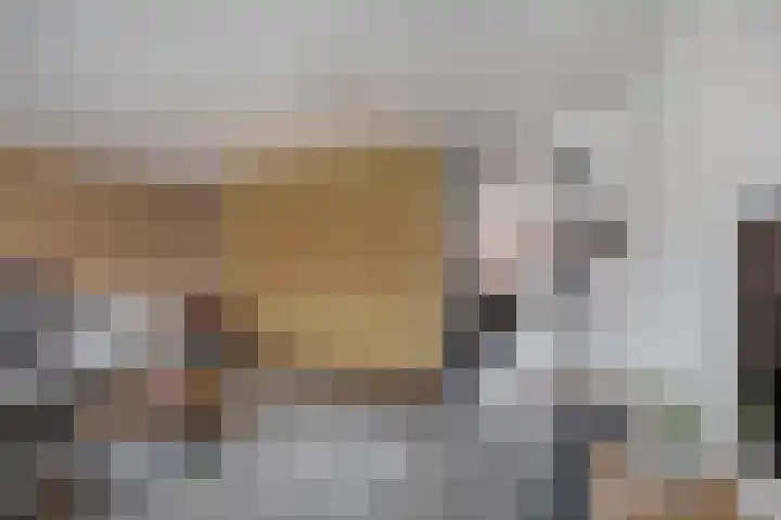 Warmoezenierstraat 23 Brielle thumbnail 15