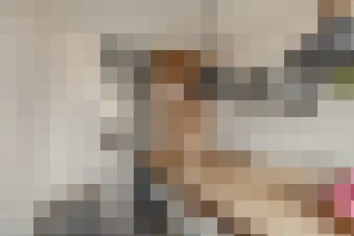 Warmoezenierstraat 23 Brielle thumbnail 17