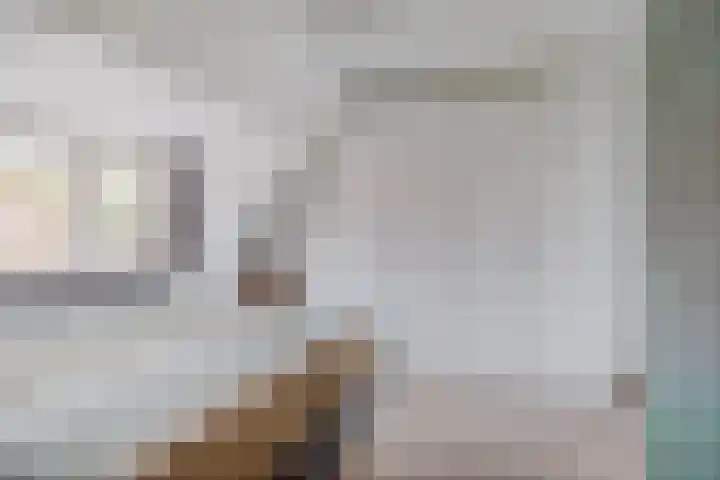 Warmoezenierstraat 23 Brielle thumbnail 25