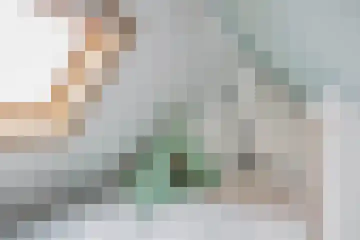 Warmoezenierstraat 23 Brielle thumbnail 37