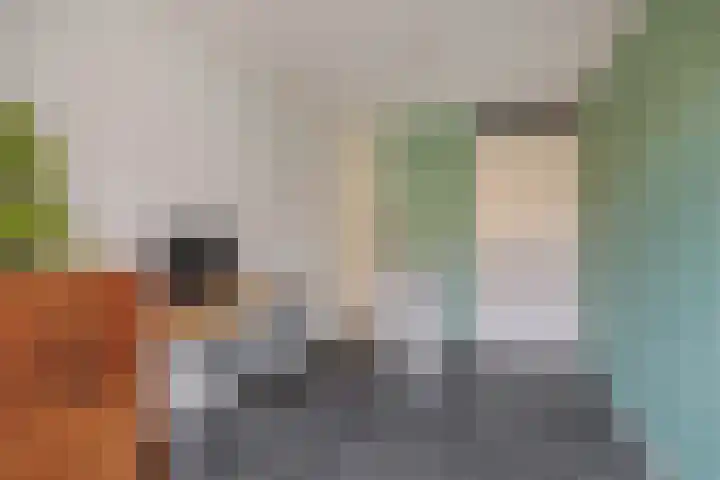 Warmoezenierstraat 23 Brielle thumbnail 8