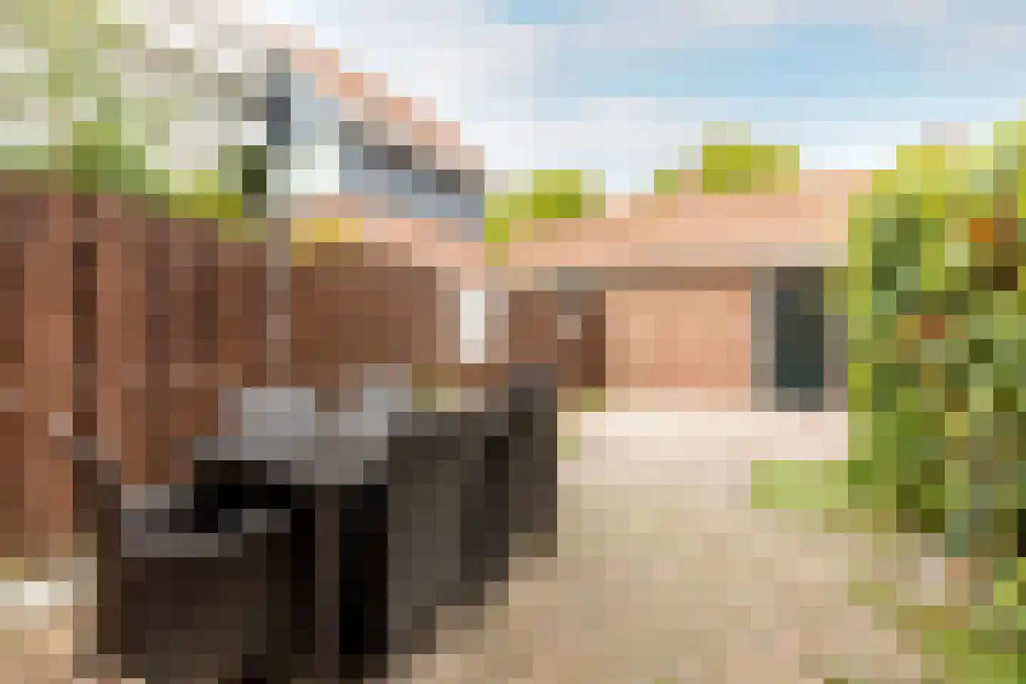 Warmoezenierstraat 6 Brielle thumbnail 10