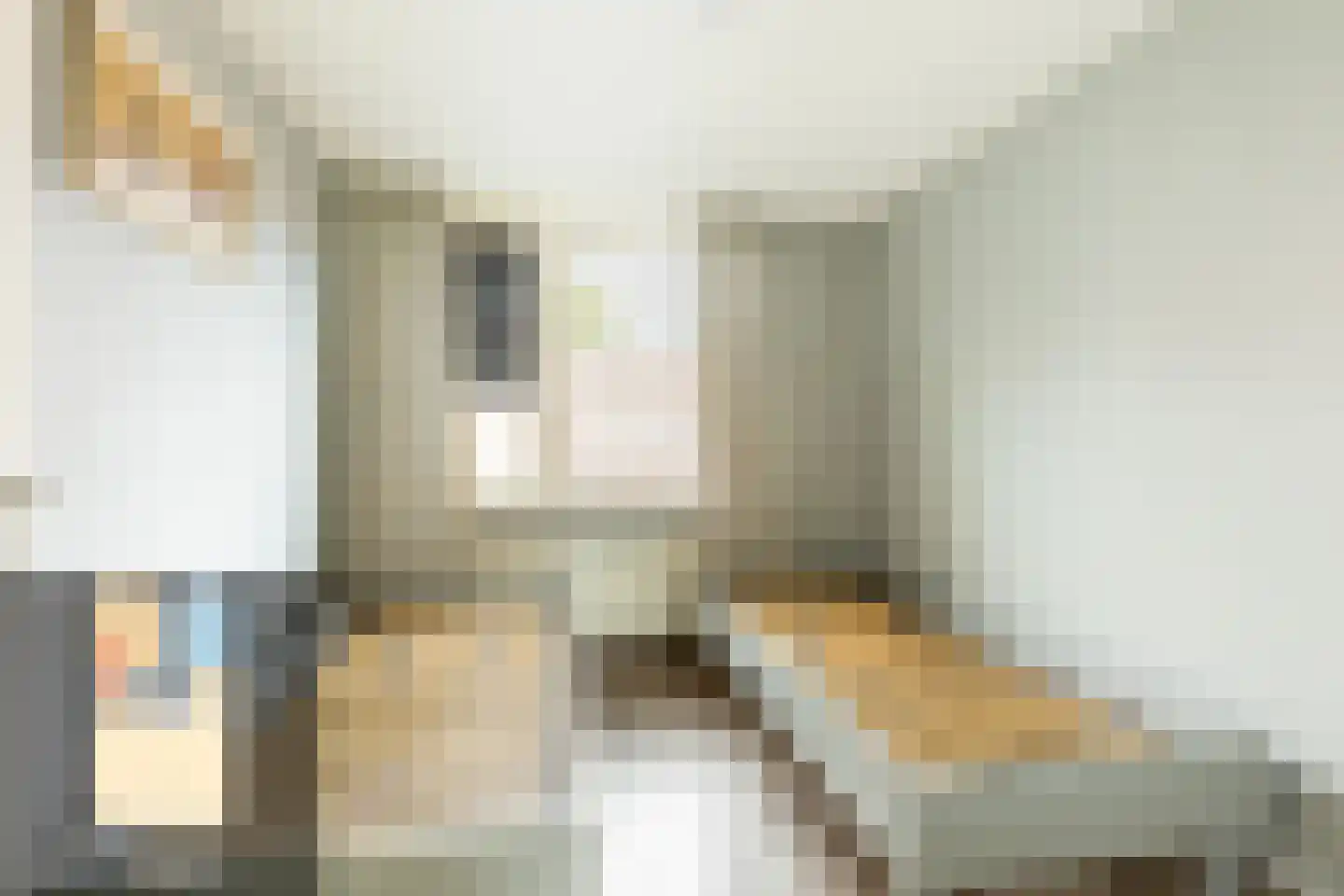 Warmoezenierstraat 6 Brielle thumbnail 13