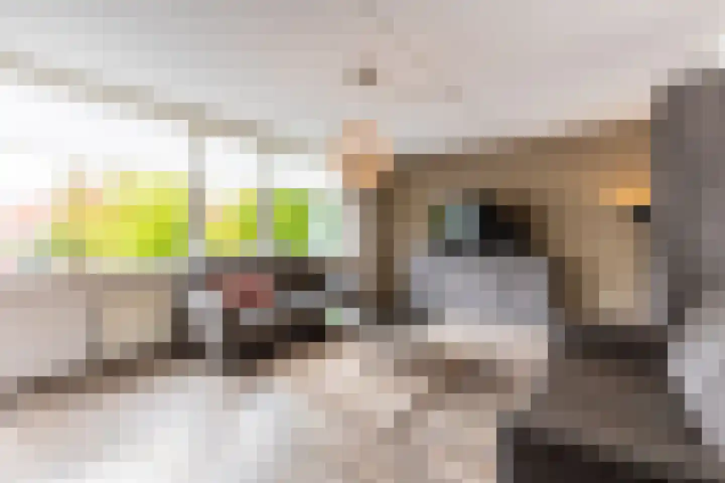 Warmoezenierstraat 6 Brielle thumbnail 15