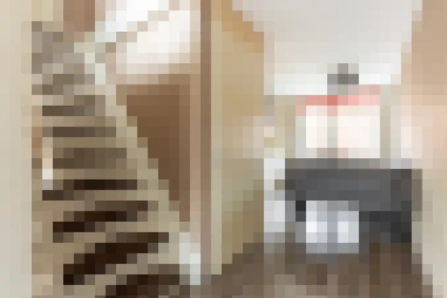 Warmoezenierstraat 6 Brielle thumbnail 17
