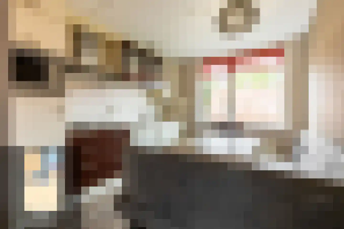 Warmoezenierstraat 6 Brielle thumbnail 18