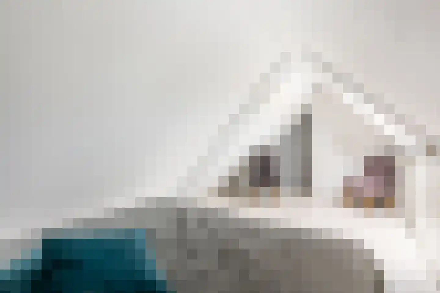 Warmoezenierstraat 6 Brielle thumbnail 32