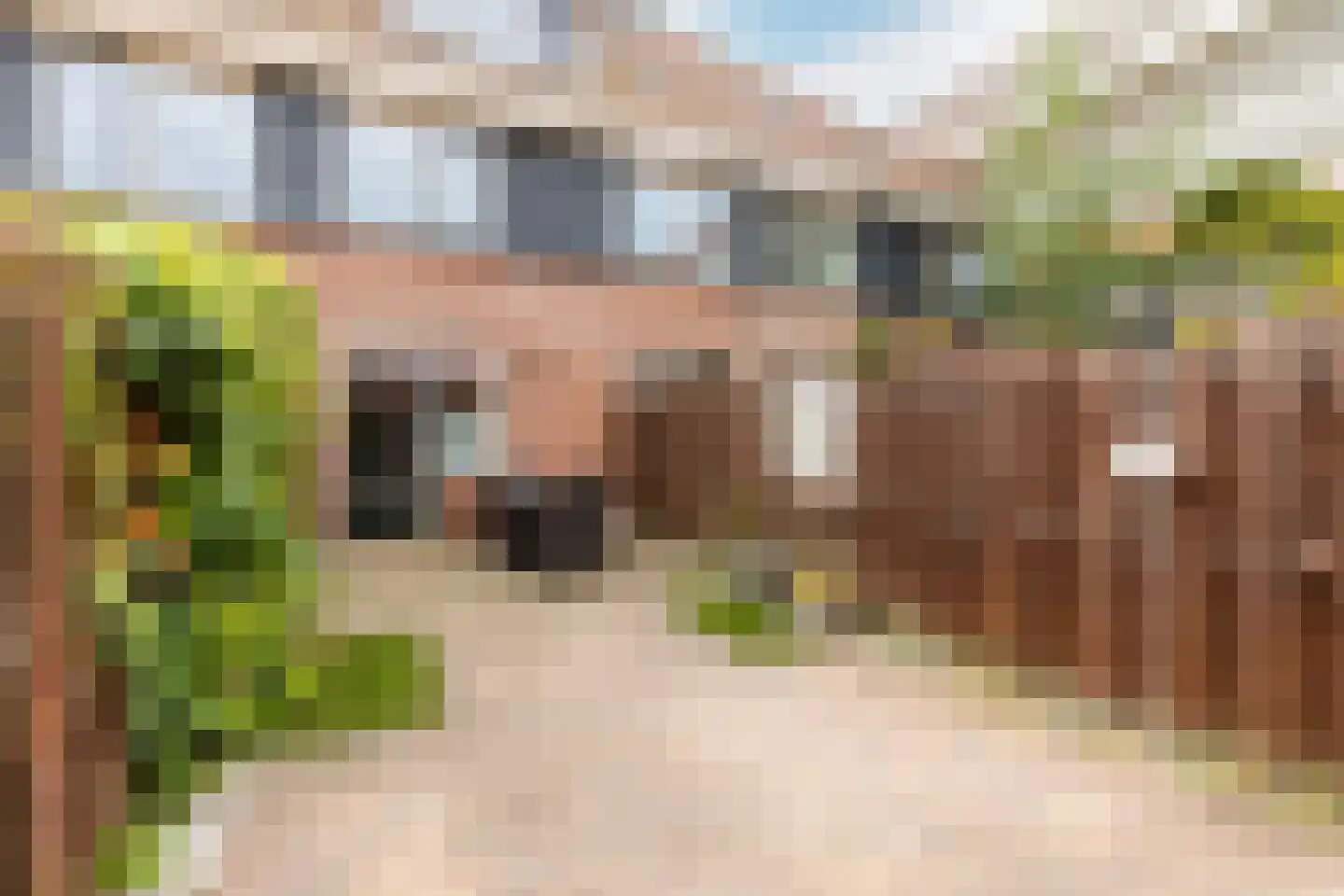 Warmoezenierstraat 6 Brielle thumbnail 9