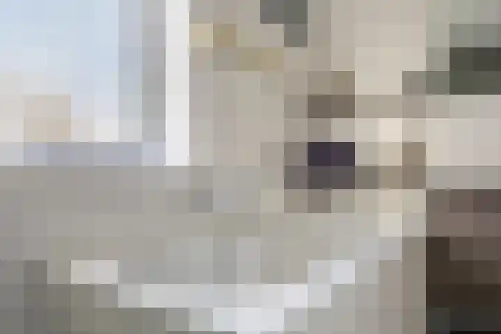 Warmoezerij 11 Alphen aan den Rijn thumbnail 24