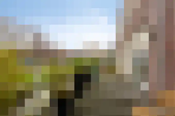 Warmoezerij 11 Alphen aan den Rijn thumbnail 32