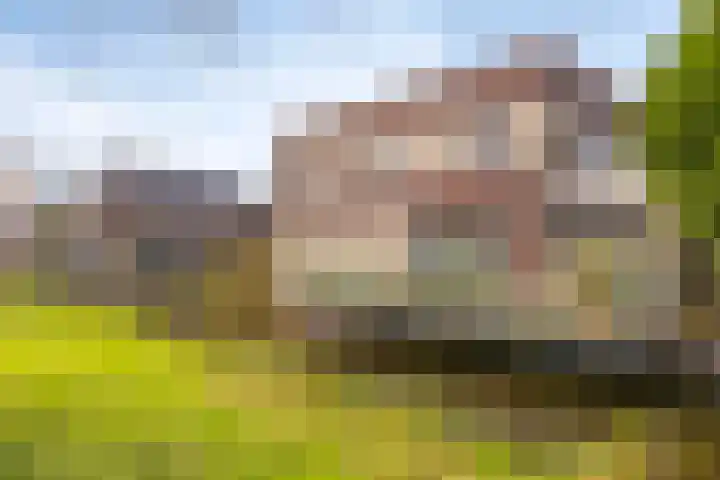 Warmoezerij 11 Alphen aan den Rijn thumbnail 40