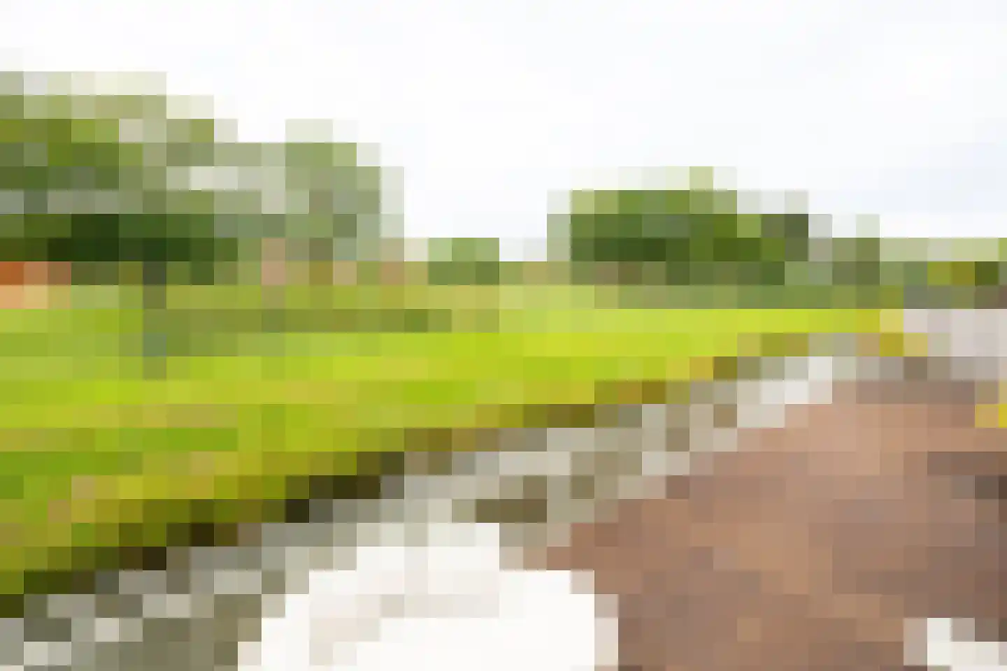 Warmoezerij 18 Alphen aan den Rijn thumbnail 34