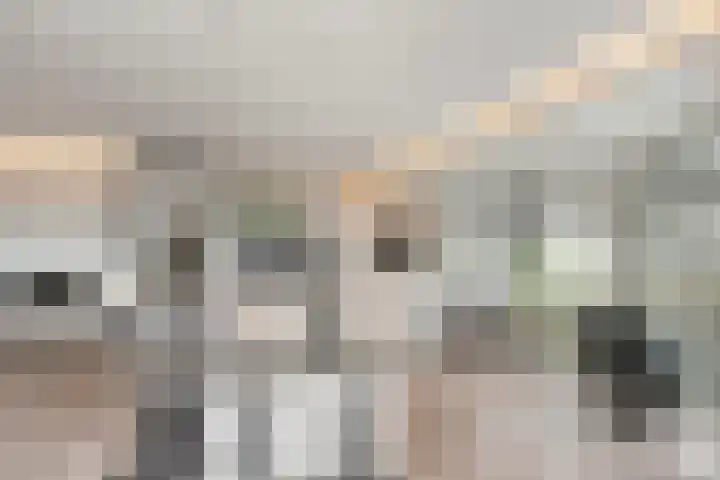 Warmoezerij 24 Huissen thumbnail 10